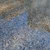 tennessee-river-gravel-exposed-aggregate-decorative-concrete-with-surface-ground-smooth
