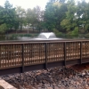 foot bridge