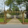 arbor