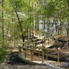 winding boardwalk