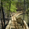 winding boardwalk