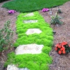 Custom concrete stepping stones
