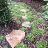 Custom concrete stepping stones