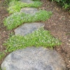 Custom concrete stepping stones