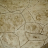 decorative concrete