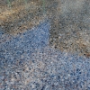 decorative concrete