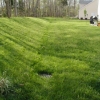 drainage remediation