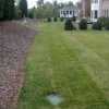 drainage remediation