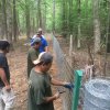 Installing livestock fencing