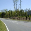 fencing