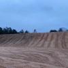 Large scale grading job