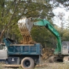 Grading
