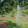 irrigation