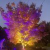 color changing landscape lighting