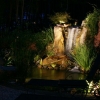 landscape lighting