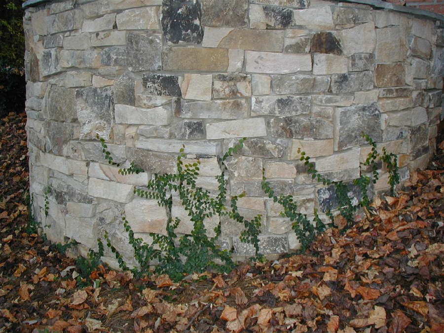 retaining wall