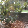 retaining wall