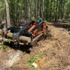 Clearing and removing trees