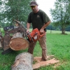 cutting up a tree