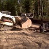 tree removal