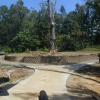 Tree Pruning - cutting down large oak tree trunk