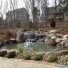 water cascading into a Pond