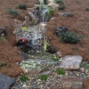 Waterfall down incline of yard