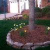 Tennessee Medium-Long Stack Fieldstone bed edging