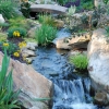 water feature stream