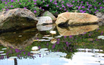 Landscape Ponds and Waterfalls — Make It Fit It