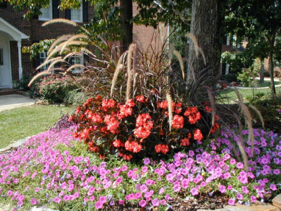 Landscaping with color!
