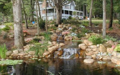 Landscaping Credentials – Outdoor Contracting