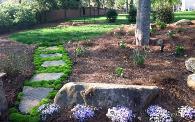 We offer more contract landscaping services than any other landscape contracting company.