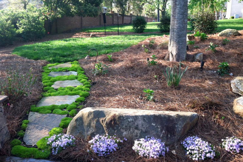 We offer more contract landscaping services than any other landscape contracting company.