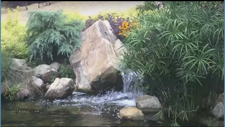 Koi Pond Water Feature – Outdoor Contracting, Inc.