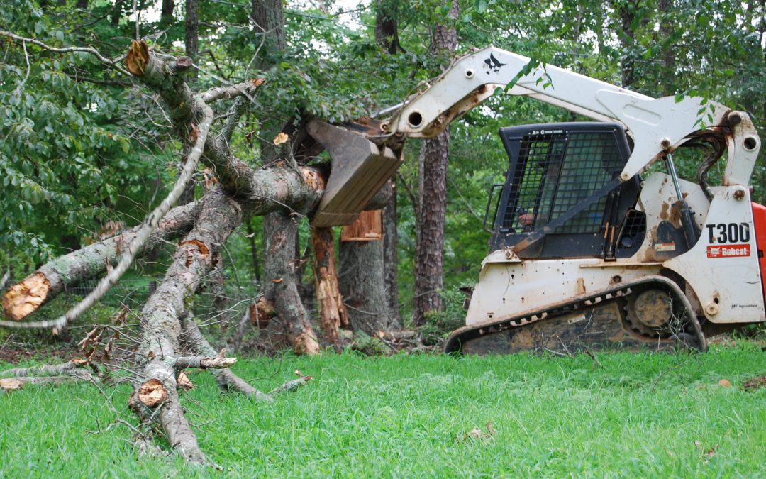 Outdoor Contracting Tree Removal and Clean Up Services