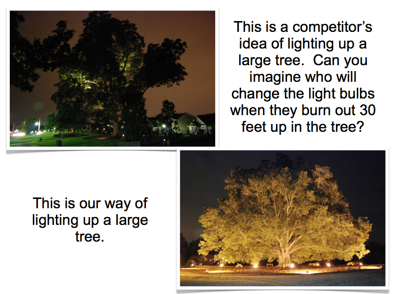 Tree Lighting the “Right Way”