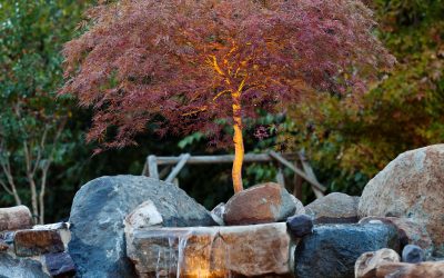 Consider some of these landscape lighting techniques!