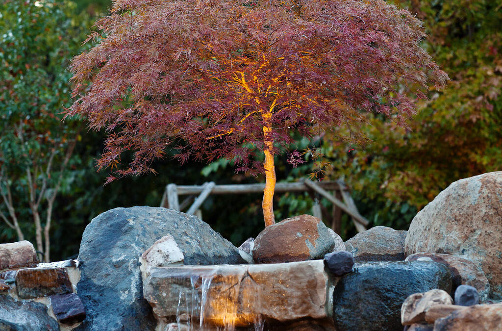 Landscape lighting with water feature – Outdoor Contracting, Inc.