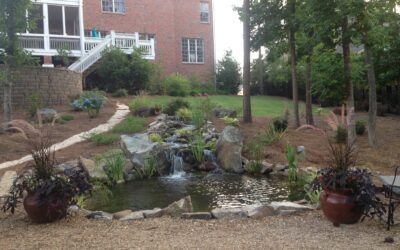 Fountains and Ponds