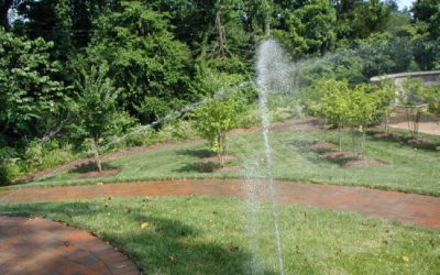 Irrigation System – Water Saver