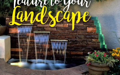 Landscape – Water Features #Waterfeatures