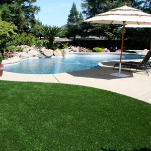 Lawn - Turf Grass - Synthetic putting greens
