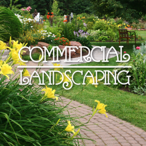 Commercial Landscaping - Outdoor Contracting, Inc. #CommercialLandscaping