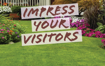 Impress Your Friends With a Beautiful Landscape!