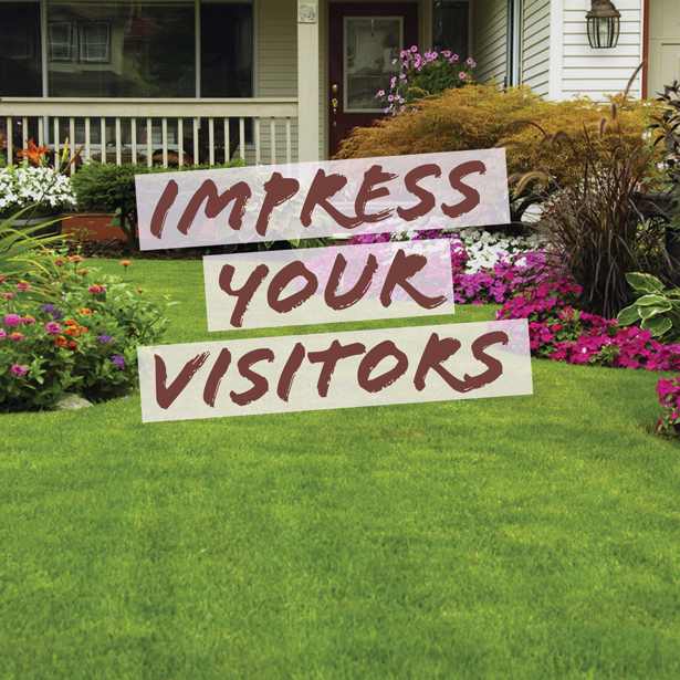 Impress Your Friends With a Beautiful Landscape!