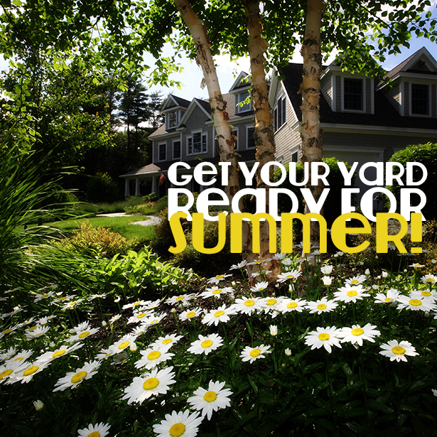 Get Your Yard Ready For Summer!