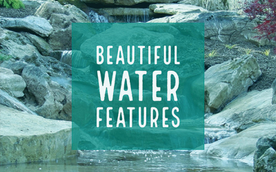 Beautiful Water Falls and Features #WaterFeatures