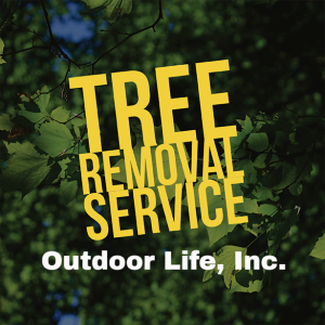 Tree Pruning and Removal Services