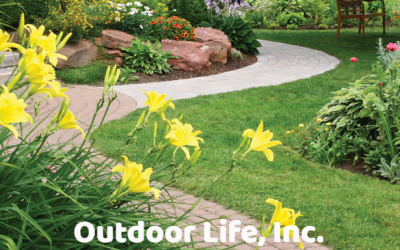 Affordable Walkway Landscaping Ideas